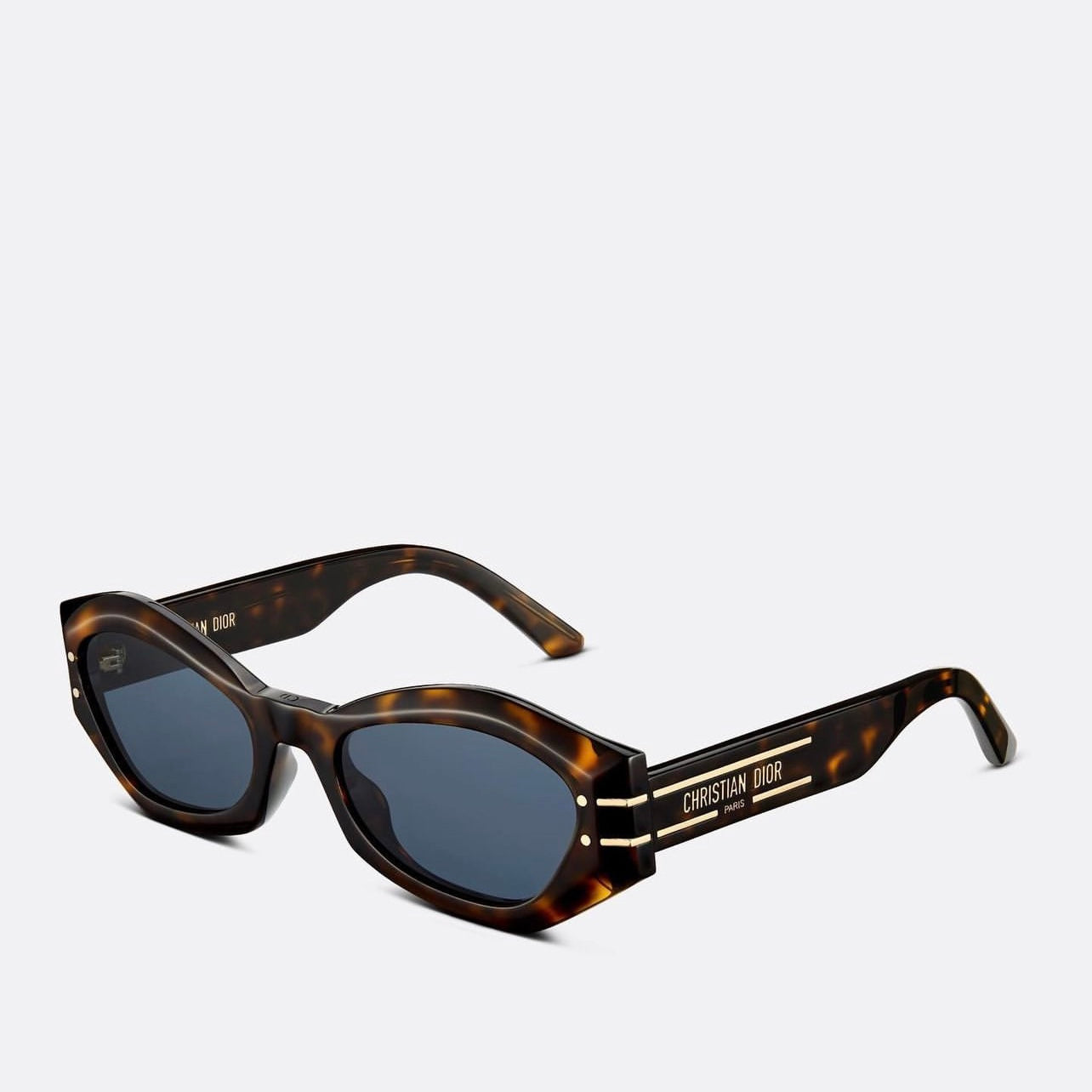 Dior DIORSIGNATURE B1U 73C0