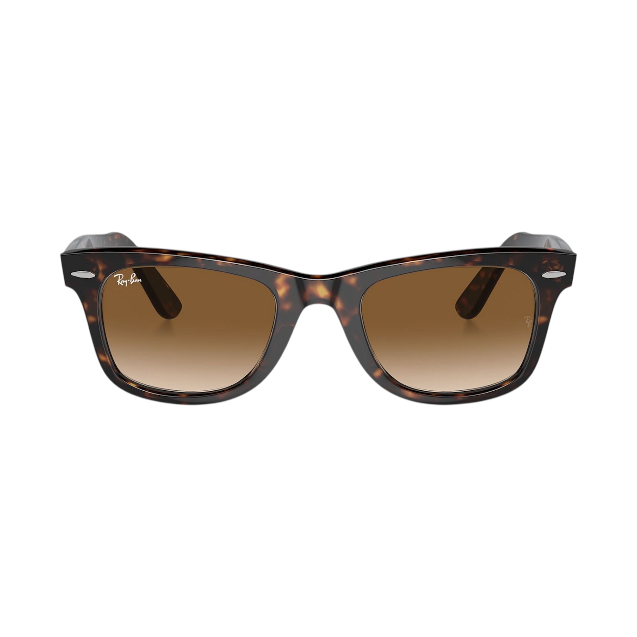 Rayban Wayfarer