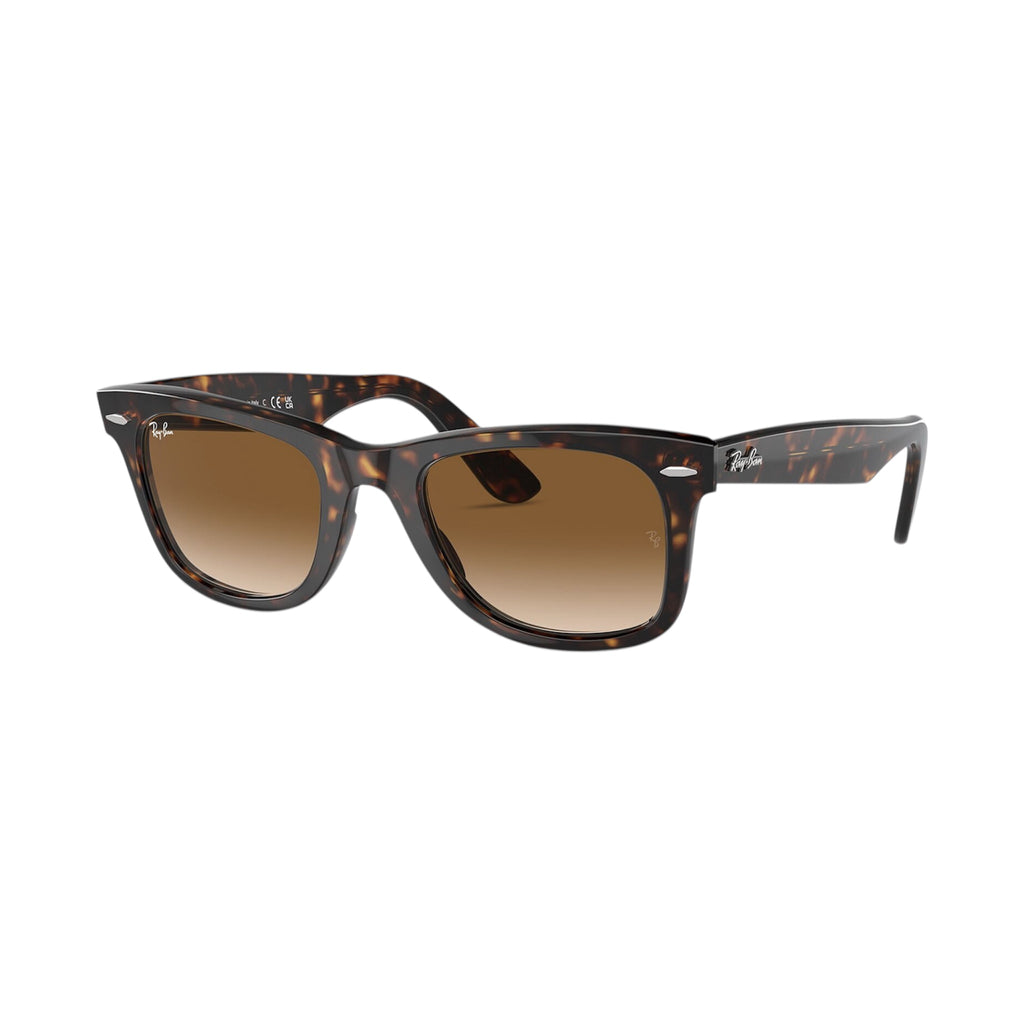 Rayban Wayfarer