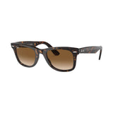 Rayban Wayfarer